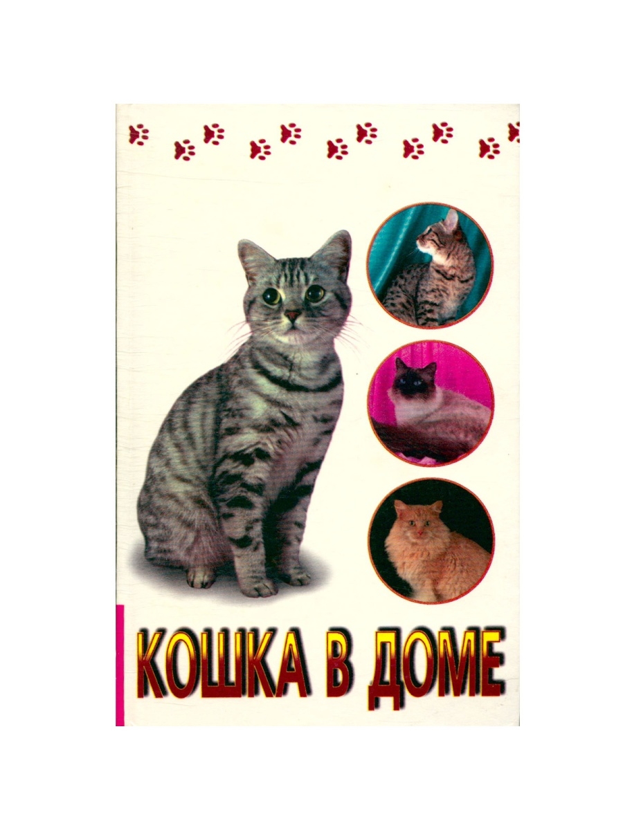 Коты эрмитажа книга