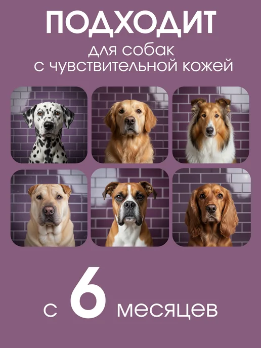 Uniclean Шампунь для собак гипоаллергенный для французских бульдогов, 300 мл, фото 5