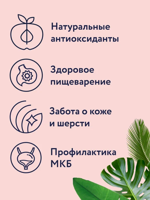 Сухой корм Florida. Кошек Черникой для собак, лосось, 0,8 кг, фото 2
