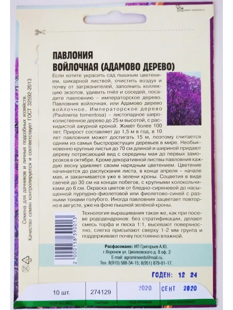 Павлония войлочная (Адамово дерево) ИП 48511813 купить за 141 ₽ в  интернет-магазине Wildberries