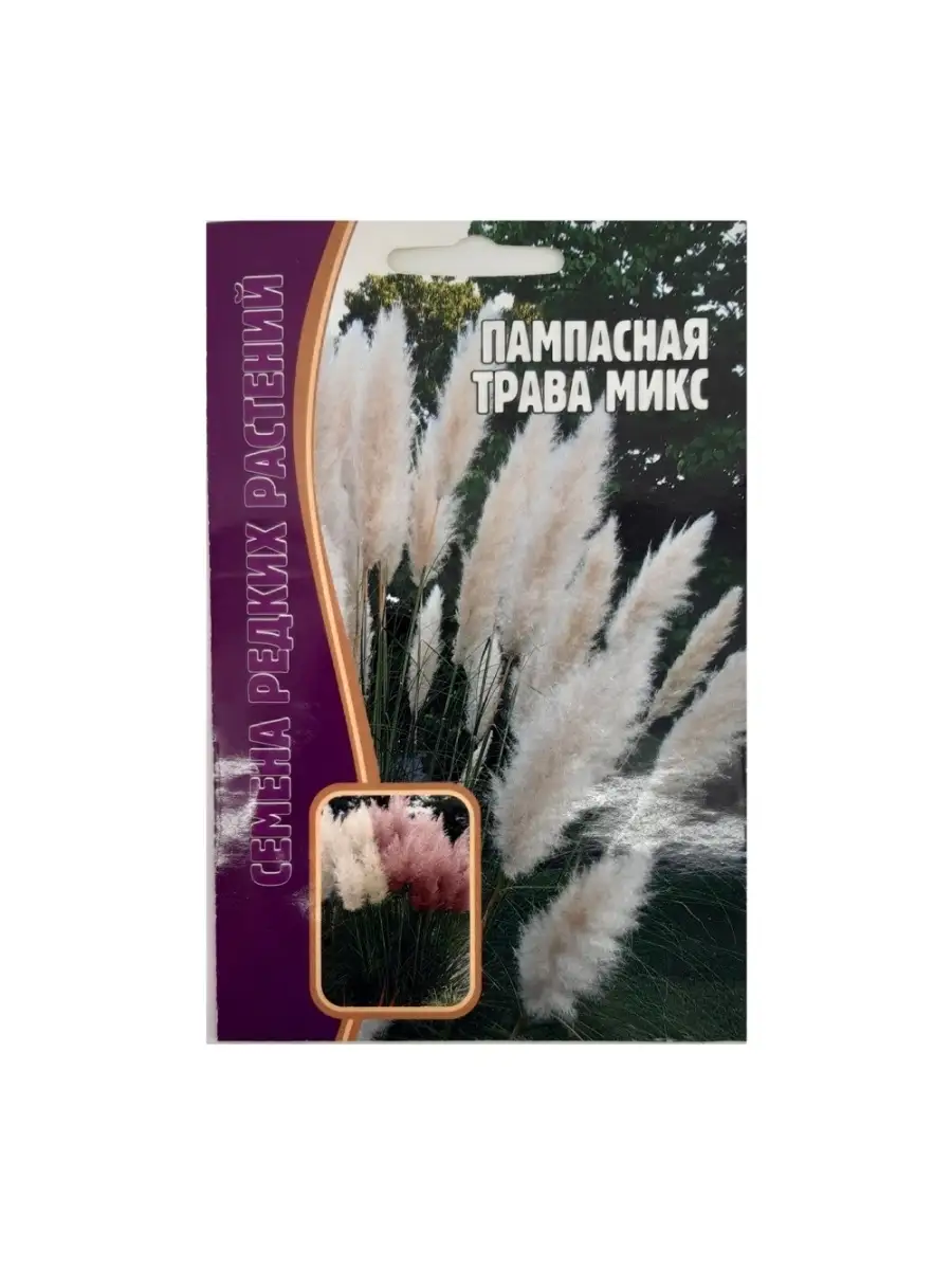 Пампасная трава микс 0,01гр семян ИП 48513129 купить за 207 ₽ в  интернет-магазине Wildberries