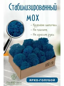 Мох стабилизированный MossGreen 48516298 купить за 332 ₽ в интернет-магазине Wildberries