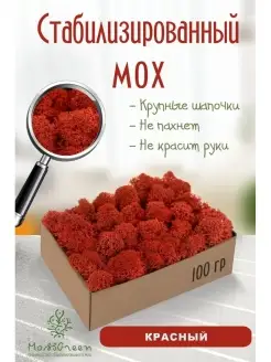 Мох стабилизированный MossGreen 48518226 купить за 332 ₽ в интернет-магазине Wildberries