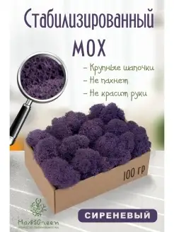 Мох стабилизированный MossGreen 48518229 купить за 332 ₽ в интернет-магазине Wildberries