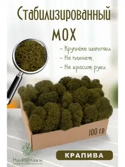 Мох стабилизированный MossGreen 48518230 купить за 332 ₽ в интернет-магазине Wildberries