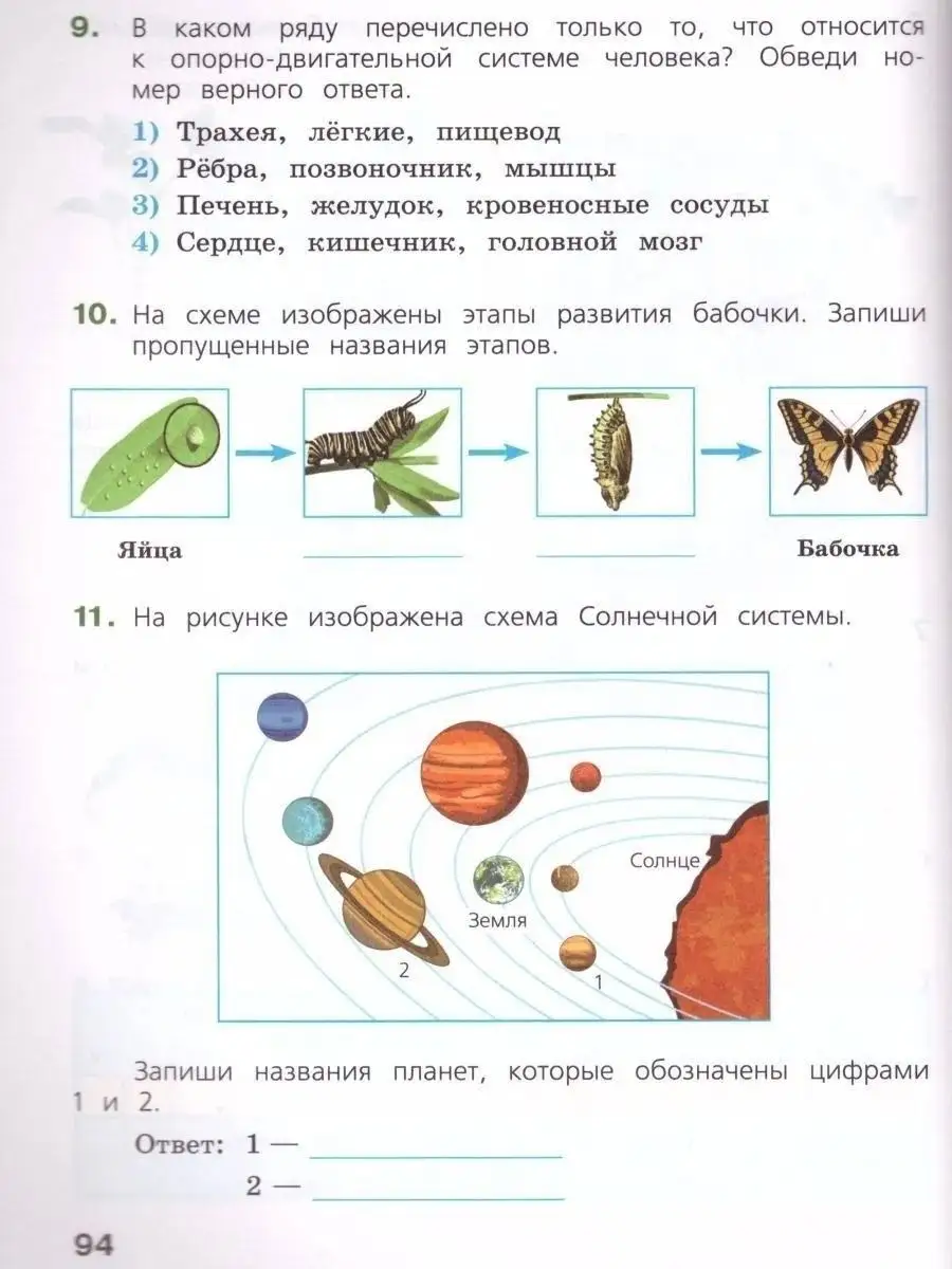 Готовимся к ВПР. Окружающий мир 4 класс Рабочая тетрадь Просвещение  48652800 купить за 432 ₽ в интернет-магазине Wildberries