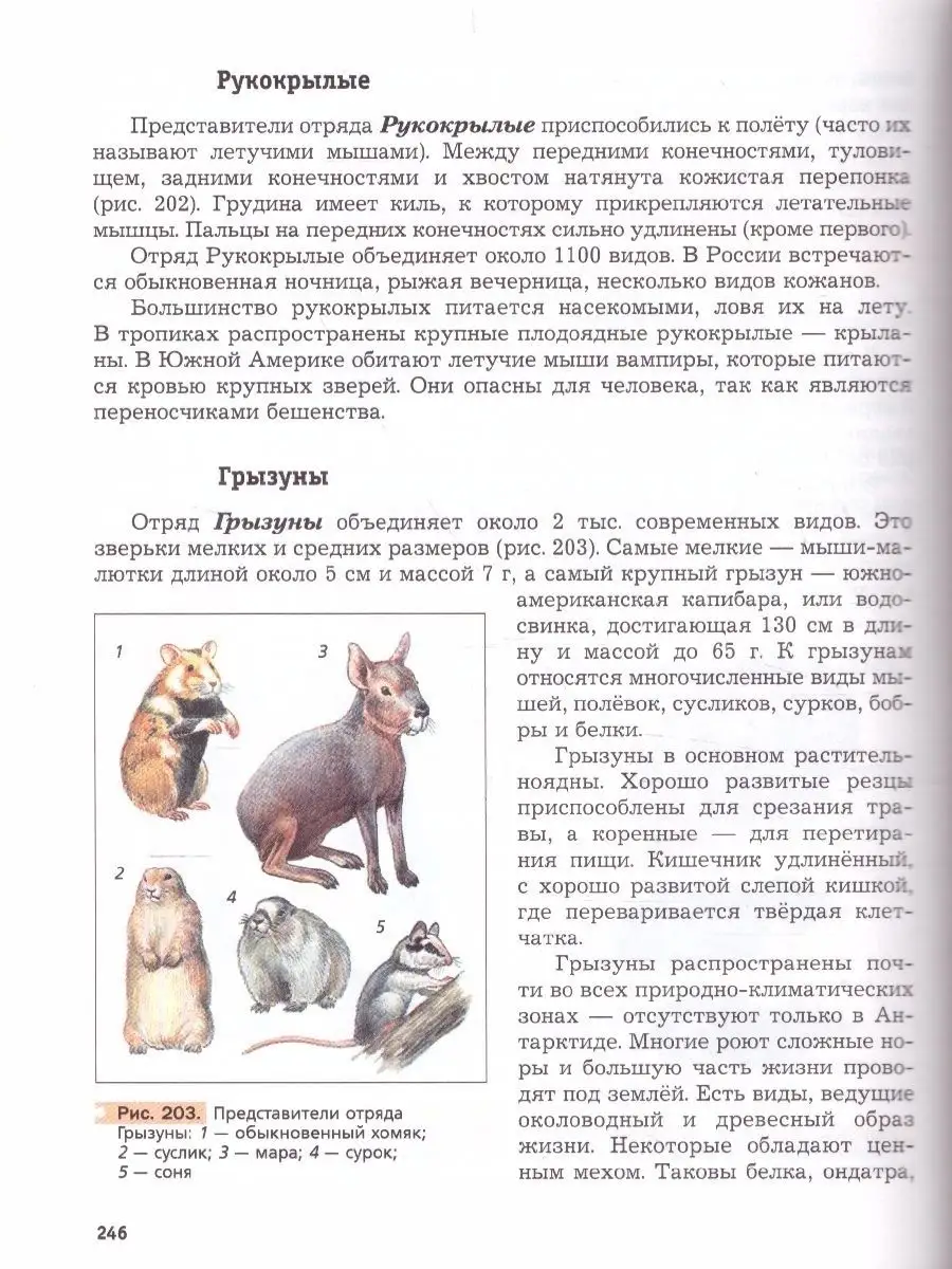 Биология 7 класс. Концентрический курс. Учебник. ФГОС  Просвещение/Вентана-Граф 48657442 купить за 1 133 ₽ в интернет-магазине  Wildberries