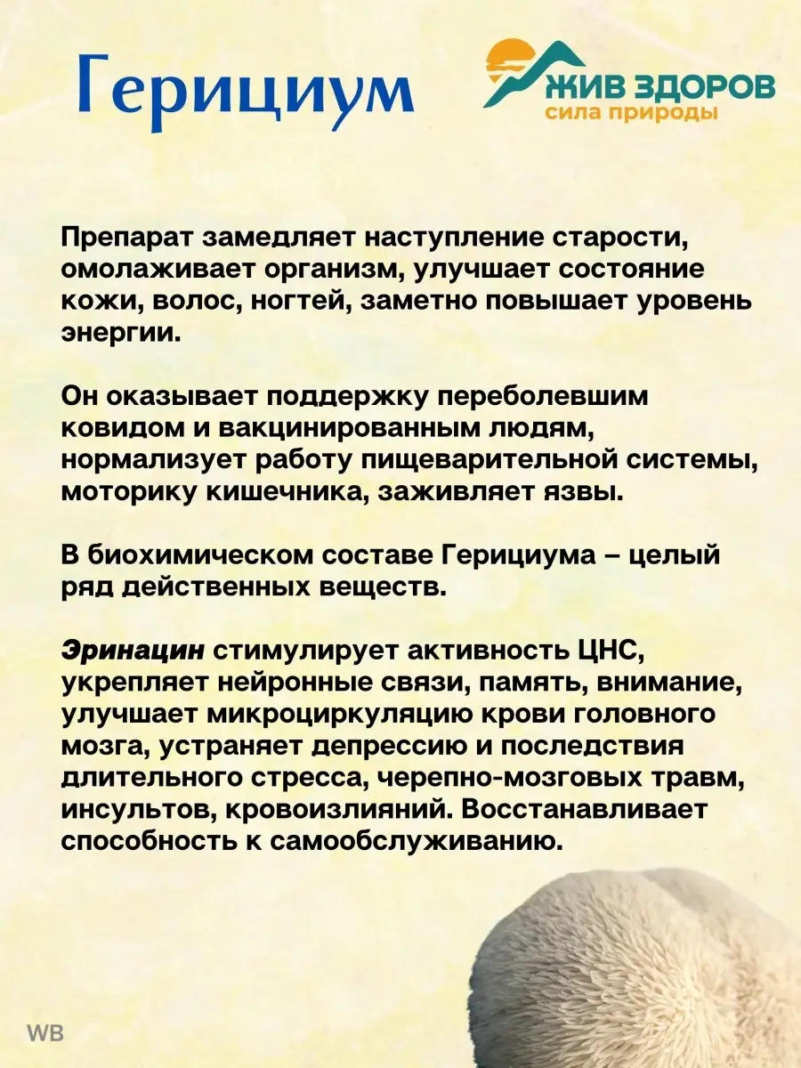 Герициум, плодовое тело 100 г, Ежевик гребенчатый, Ежовик Жив Здоров  48660593 купить в интернет-магазине Wildberries