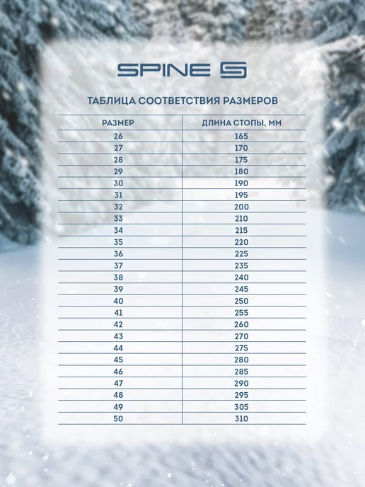 Spine Лыжные ботинки мужские, женские, детские SNS, черный, фото 2