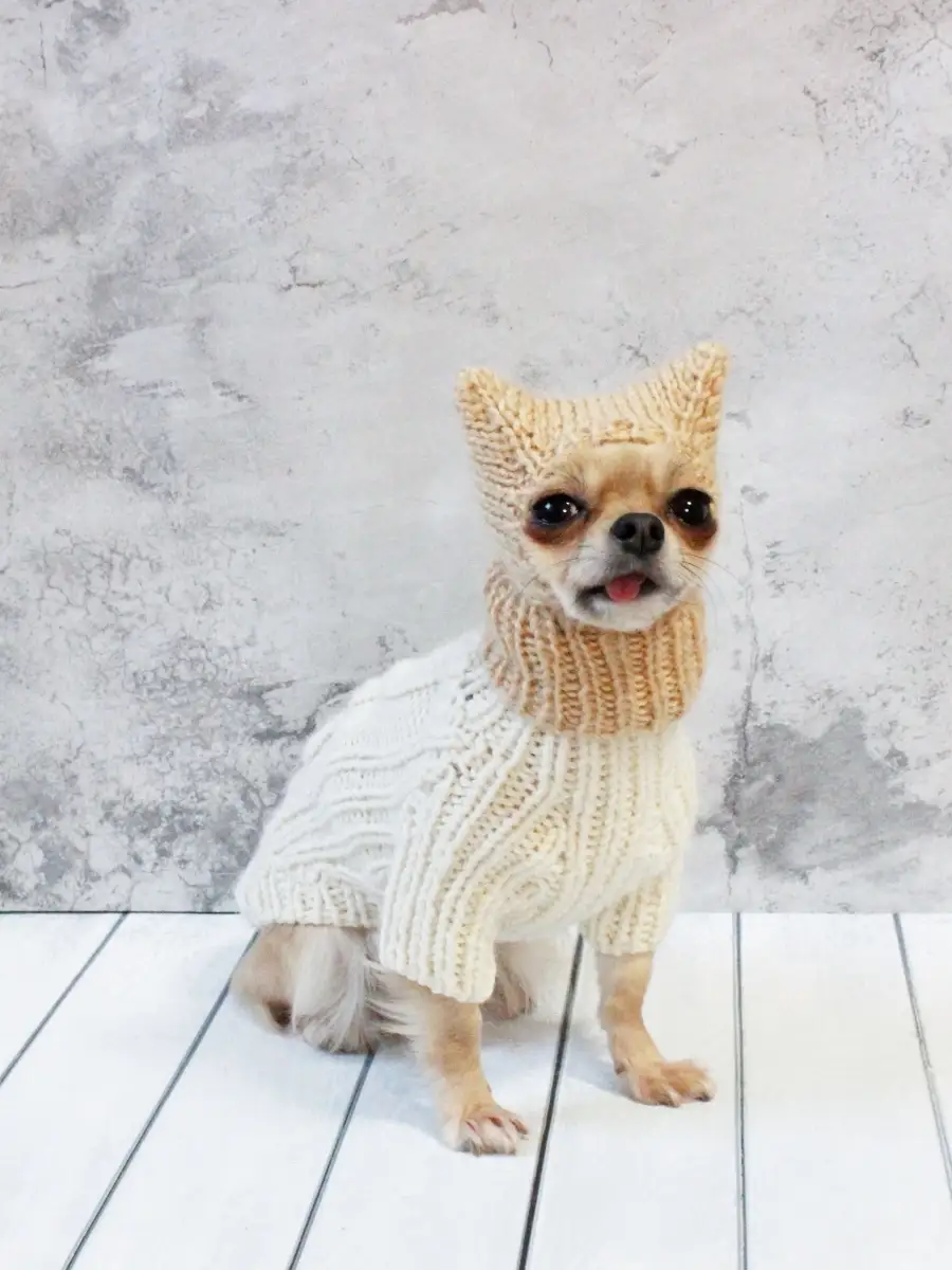 Like a Fox: Одежда для собак средних и крупных пород