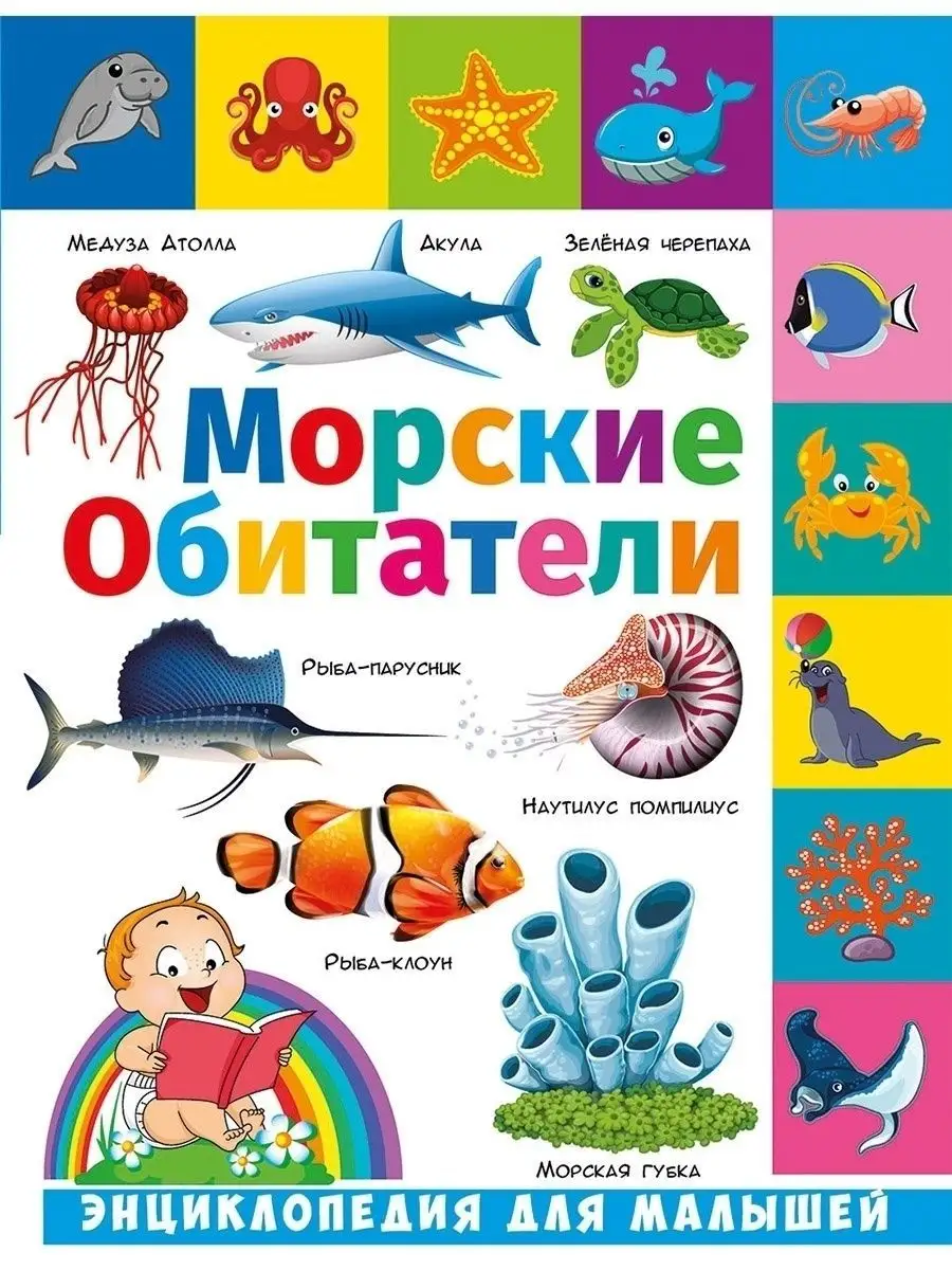 Морские обитатели. Энциклопедия для малышей. Книги для детей Владис  48823032 купить за 179 ₽ в интернет-магазине Wildberries