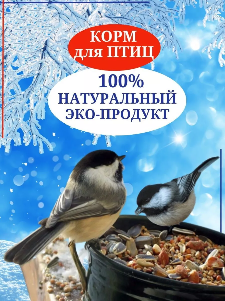 Корм для птиц уличных голубей семечки в кормушку на окно 3кг Персонарум  48834687 купить за 471 ₽ в интернет-магазине Wildberries