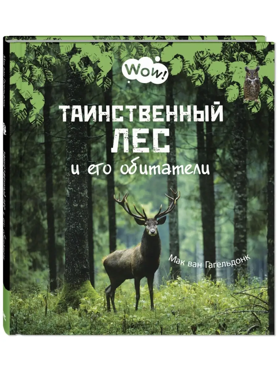 Таинственный лес и его обитатели Энас-Книга 48840471 купить за 490 ₽ в  интернет-магазине Wildberries