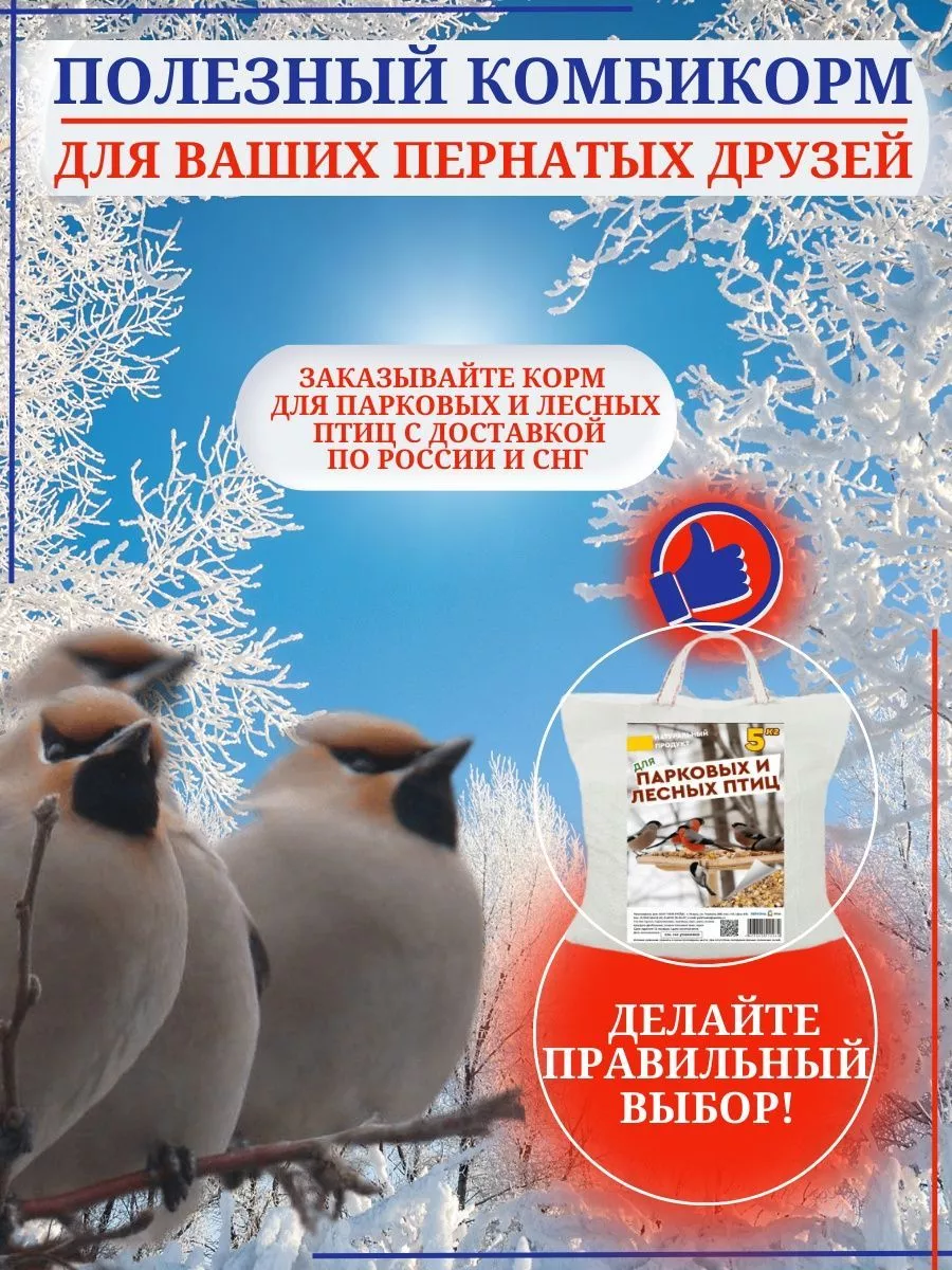 Корм для птиц уличных голубей уток в кормушку на окно 3 кг Персонарум  48841609 купить в интернет-магазине Wildberries