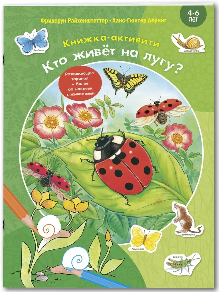 Кто живёт на лугу? Книжка-активити Энас-Книга 48843760 купить за 448 ₽ в  интернет-магазине Wildberries