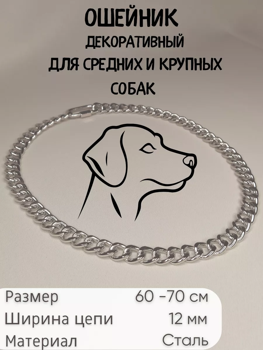 48948936