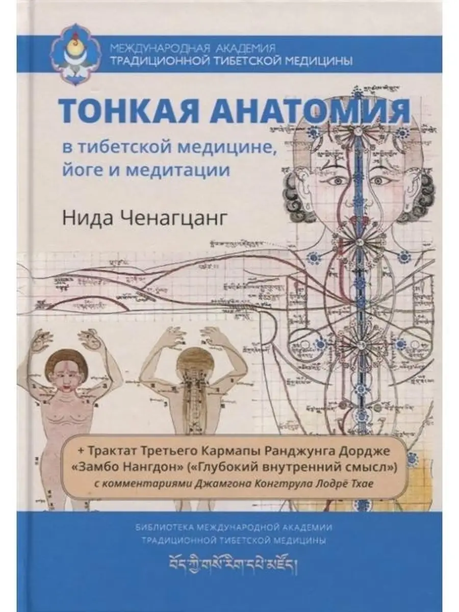 Тонкая анатомия в тибетской медицине йоге и медитации