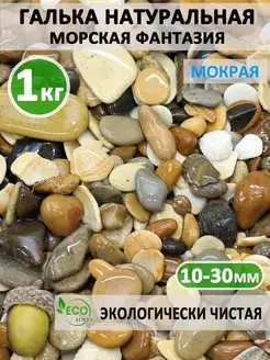 Галька Морская фантазия 10-30 мм 1 кг Ландиа 48973271 купить за 144 ₽ в интернет-магазине Wildberries