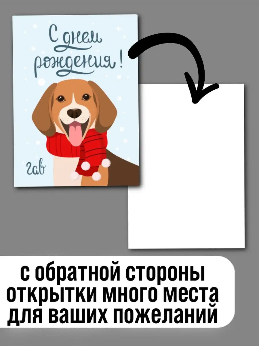 Поздравить собаку с днем рождения картинки