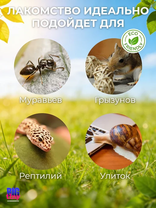 Big Tiny Белковый корм из мучного червя и гаммаруса для грызунов, вариант, фото 2