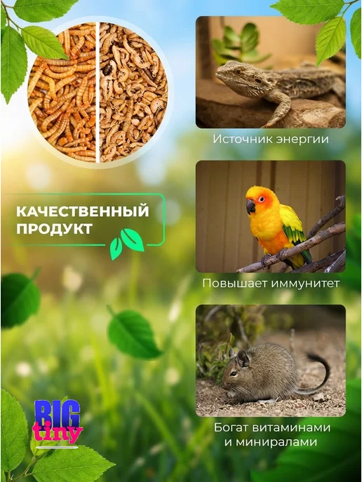 Big Tiny Белковый корм из мучного червя и гаммаруса для грызунов, вариант, фото 3