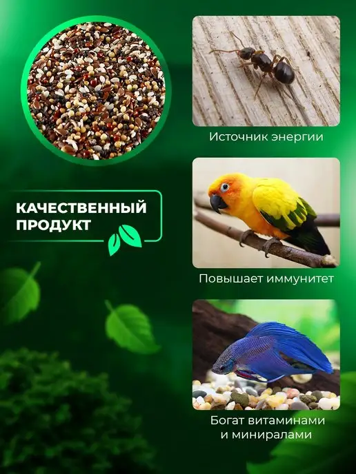 Big Tiny Зерновой корм для грызунов, птиц и муравьев, вариант, фото 3
