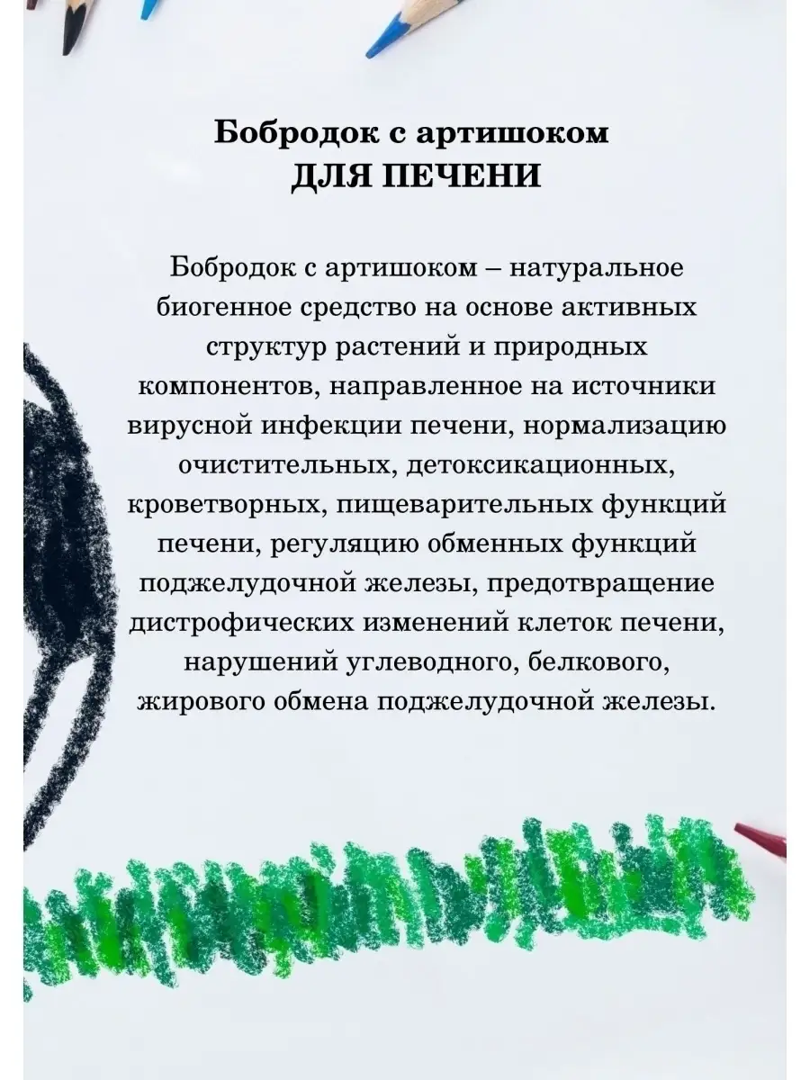 Бобродок с артишоком для печени Сашера-Мед 49130906 купить в  интернет-магазине Wildberries