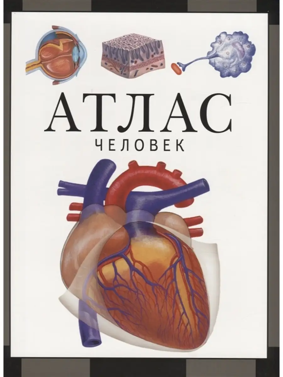 Атлас. Человек. Барабанов В.В.