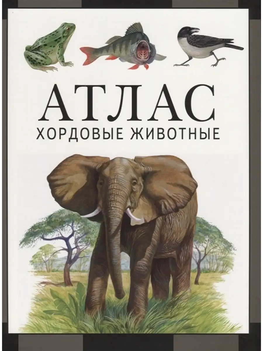 Атлас. Хордовые животные. Дольник В.Р., Козлов М.А МЦНМО 49159309 купить за  836 ₽ в интернет-магазине Wildberries