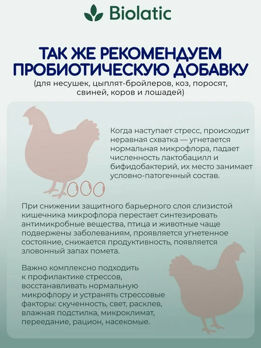 Biolatic Витамины для птиц (цыплят) смесь Премикс от 1-8 недель, вариант, фото 8