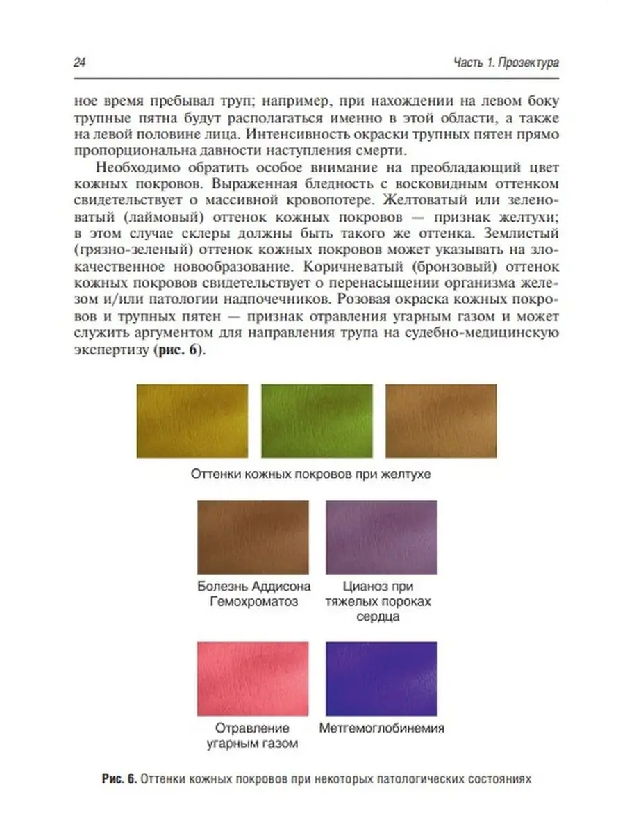 Аутопсия. Основы прозекторской практики. Руководство ГЭОТАР-Медиа 49276470  купить в интернет-магазине Wildberries