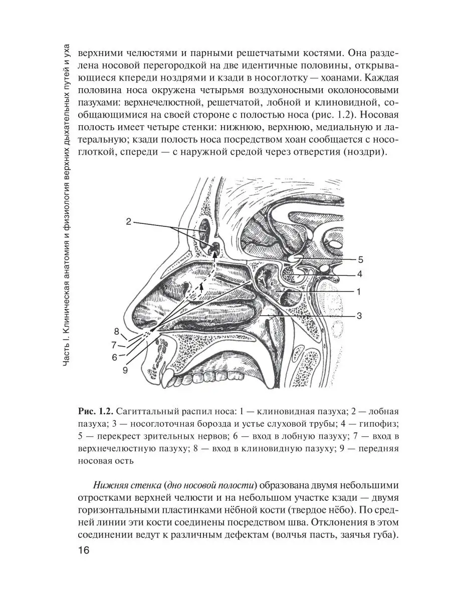 Болезни уха, горла и носа. Учебник ГЭОТАР-Медиа 49276483 купить за 1 063 ₽  в интернет-магазине Wildberries