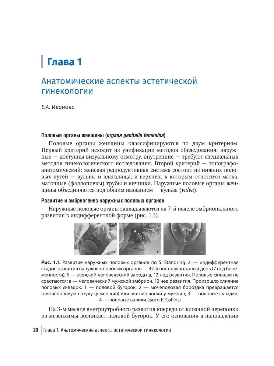 Эстетическая гинекология ГЭОТАР-Медиа 49276513 купить за 5 432 ₽ в  интернет-магазине Wildberries