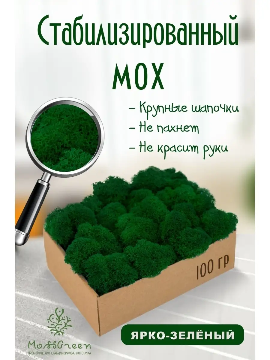 Мох стабилизированный MossGreen 49360848 купить за 395 ₽ в  интернет-магазине Wildberries