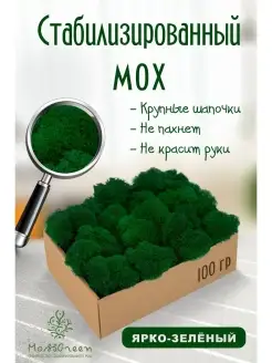 Мох стабилизированный MossGreen 49360848 купить за 377 ₽ в интернет-магазине Wildberries