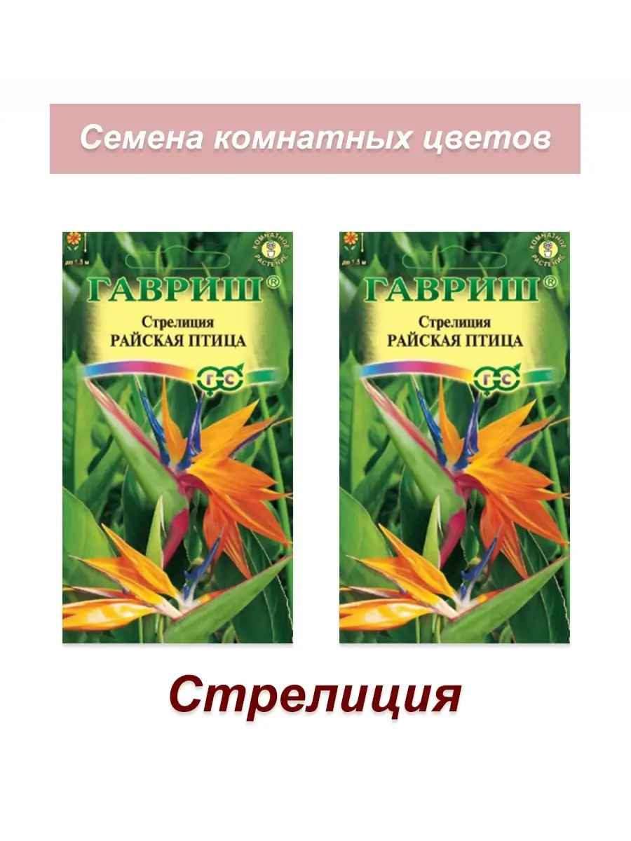 Семена комнатных цветов Стрелиция, 2 шт Гавриш 49445440 купить за 385 ₽ в  интернет-магазине Wildberries