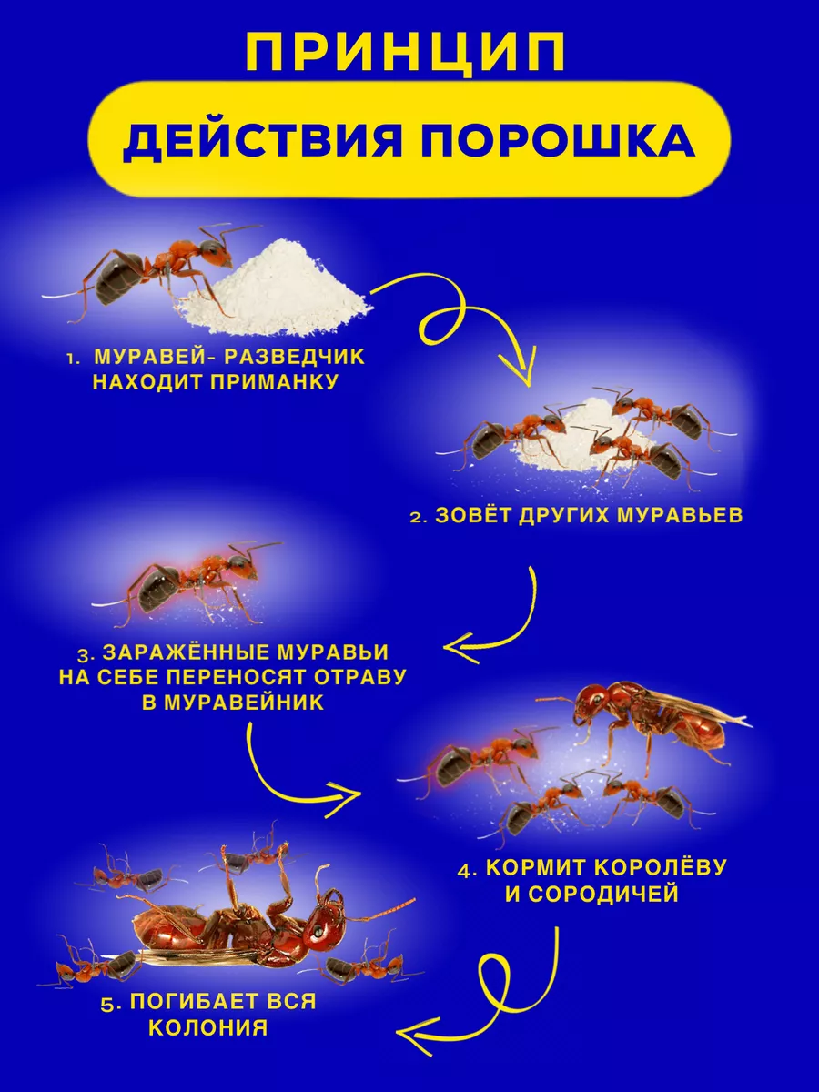 Средство от тараканов и муравьев 1000г+200г Тиурам от тараканов и грызунов  49472617 купить за 3 316 ₽ в интернет-магазине Wildberries