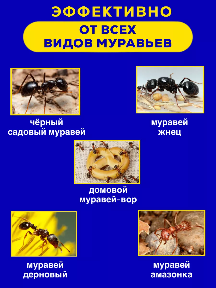 Средство от тараканов 150г Тиурам от тараканов и грызунов 49472618 купить  за 639 ₽ в интернет-магазине Wildberries