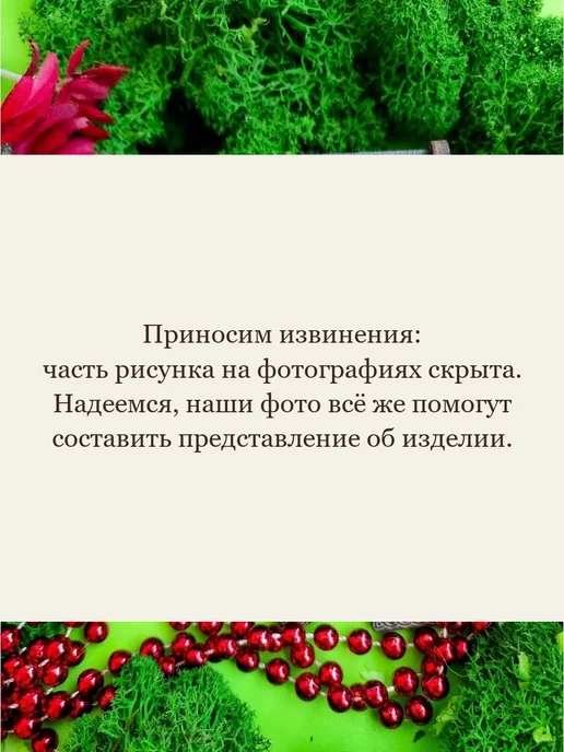Magic Wolf Руны скандинавские с коробкой из дерева набор для гадания, вариант, фото 6