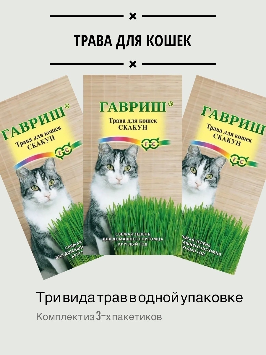 Семена трава для кошек, для собак Гавриш 49631048 купить в  интернет-магазине Wildberries