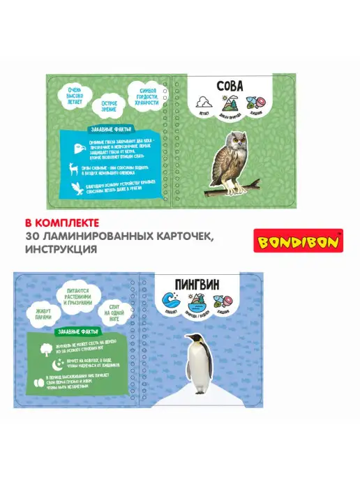 Bondibon Настольная игра головоломка для детей Изучаем животных, вариант, фото 4