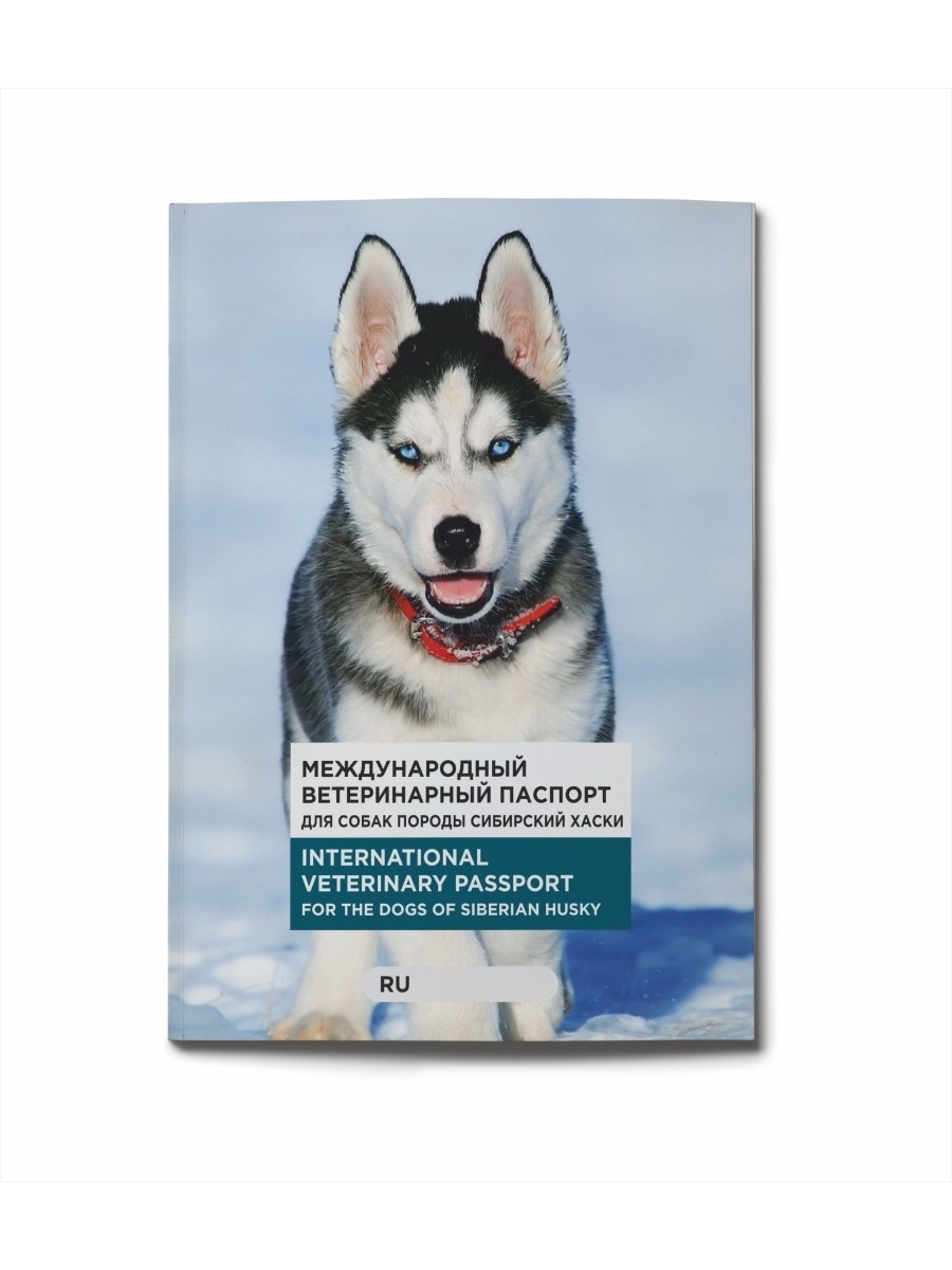 Ветеринарный паспорт сибирский хаски Добродок 49854304 купить за 336 ₽ в  интернет-магазине Wildberries