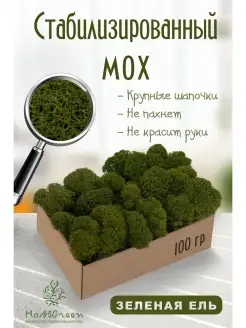 Мох стабилизированный MossGreen 49922857 купить за 326 ₽ в интернет-магазине Wildberries