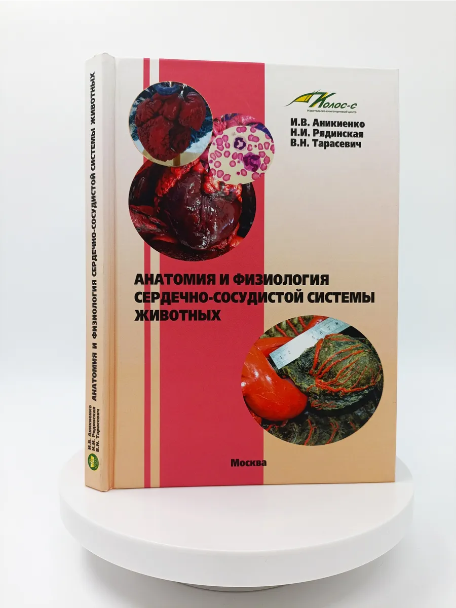 Анатомия и физиология сердечно-сосудистой системы животных