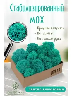 Мох стабилизированный MossGreen 49968951 купить за 332 ₽ в интернет-магазине Wildberries