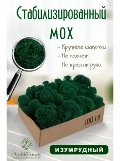 Мох стабилизированный MossGreen 49969006 купить за 332 ₽ в интернет-магазине Wildberries