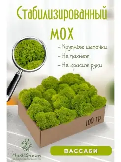 Мох стабилизированный MossGreen 49969261 купить за 326 ₽ в интернет-магазине Wildberries