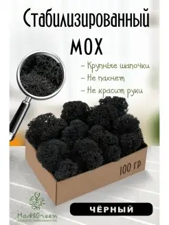 Мох стабилизированный MossGreen 49969323 купить за 332 ₽ в интернет-магазине Wildberries