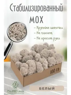 Мох стабилизированный MossGreen 49969357 купить за 326 ₽ в интернет-магазине Wildberries