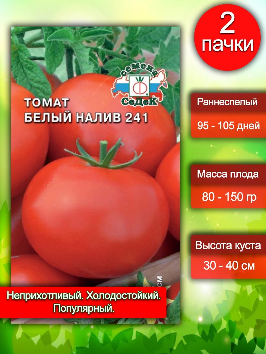 Семена томат белый налив 241. Налив для томатов. Томат белый налив 241 фото урожайность характеристика